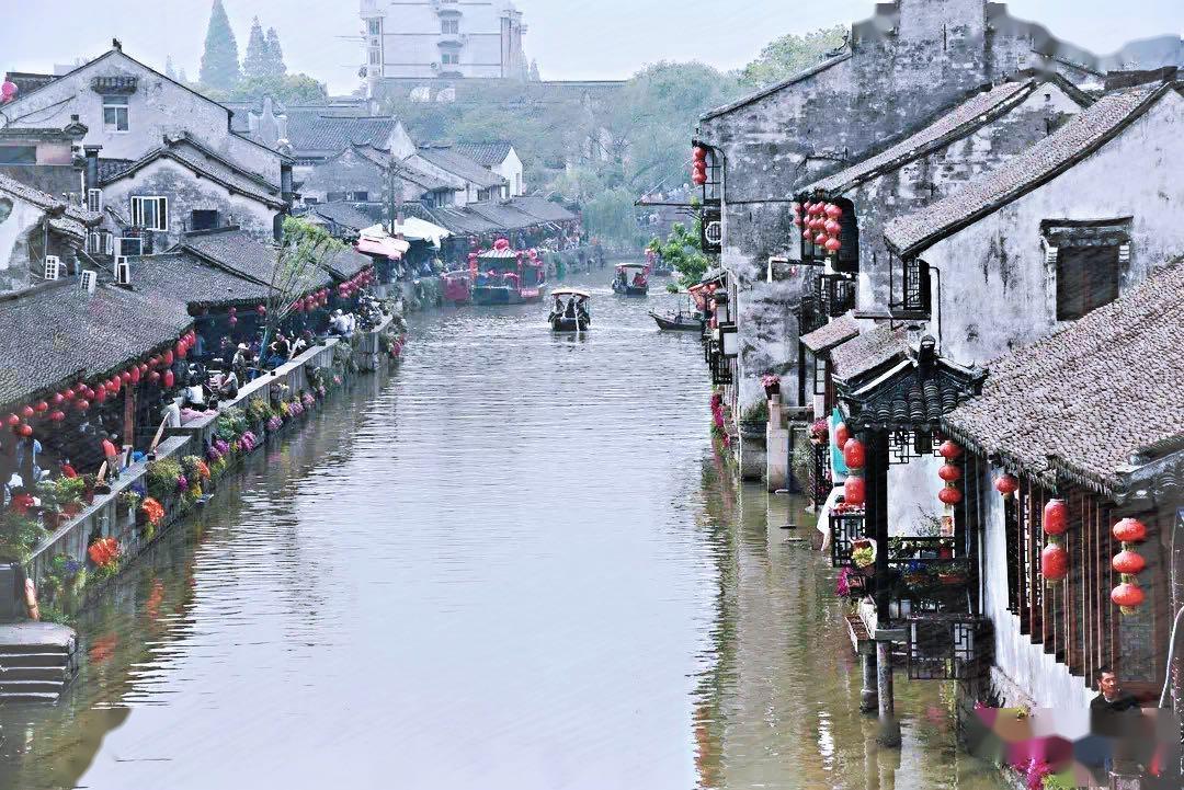 我的王朝